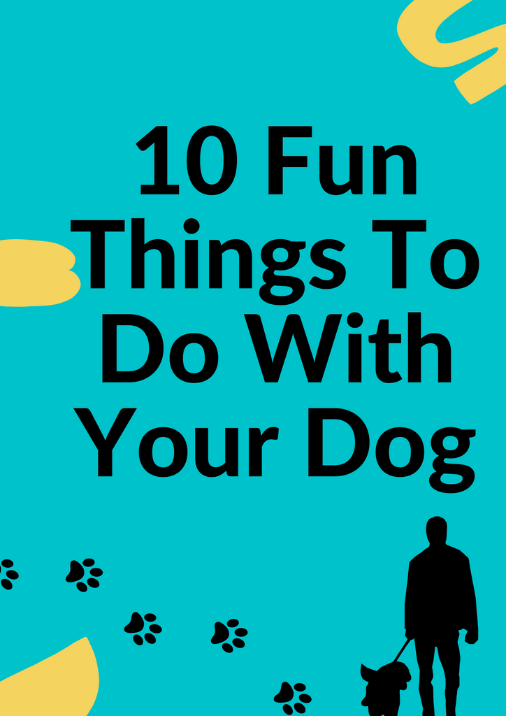 10 Fun Things To Do With Your Dog