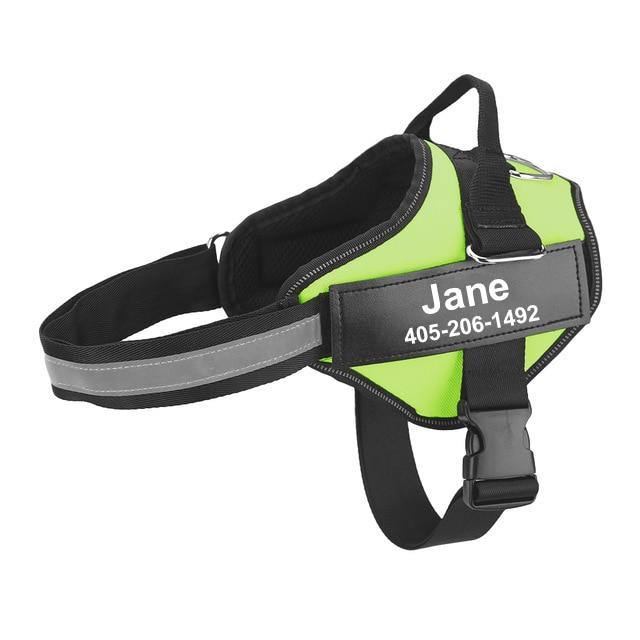 Strap'n'walk Custom Dog Harness - Lovepawz