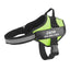 Strap'n'walk Custom Dog Harness - Lovepawz