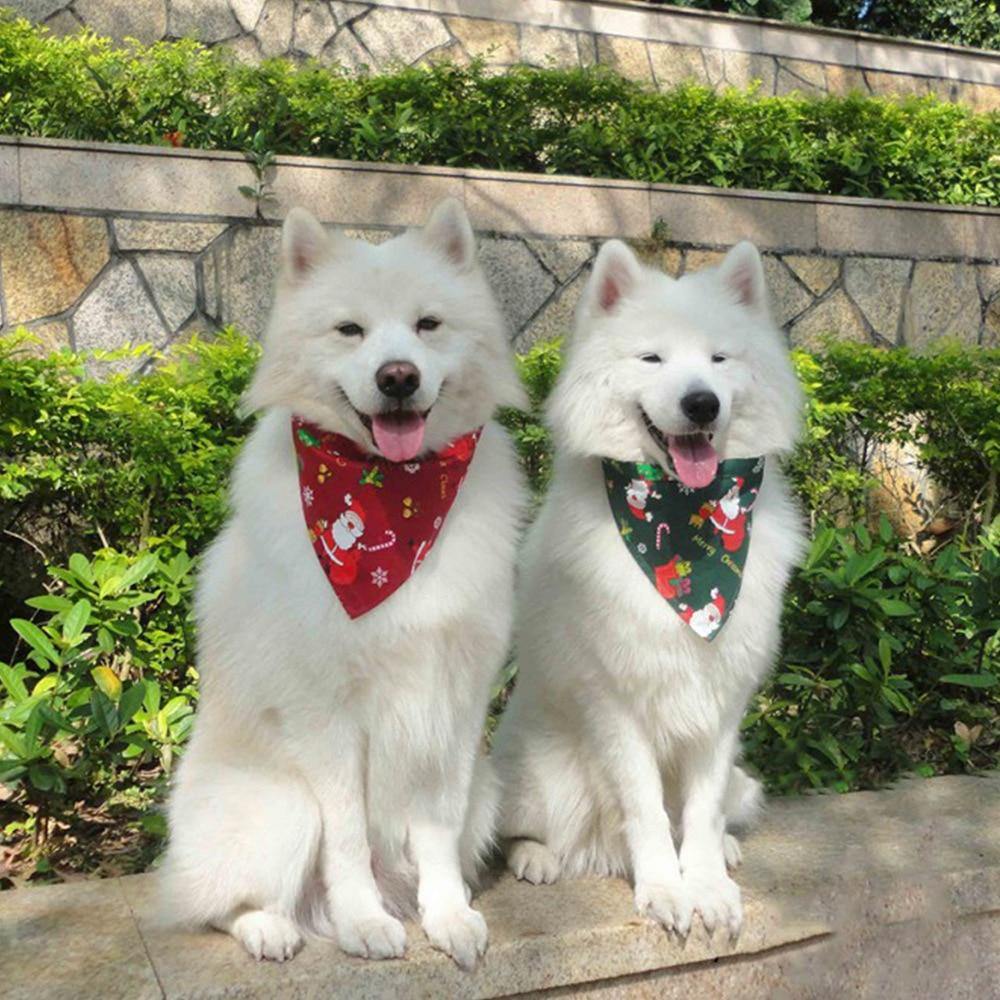 My Christmas Bandanas - Lovepawz