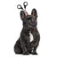Halloween Dog Cat Horror Headband - Lovepawz