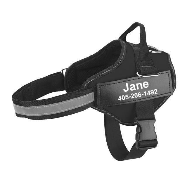 Strap'n'walk Custom Dog Harness - Lovepawz