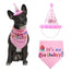 Pet Birthday Set - Lovepawz