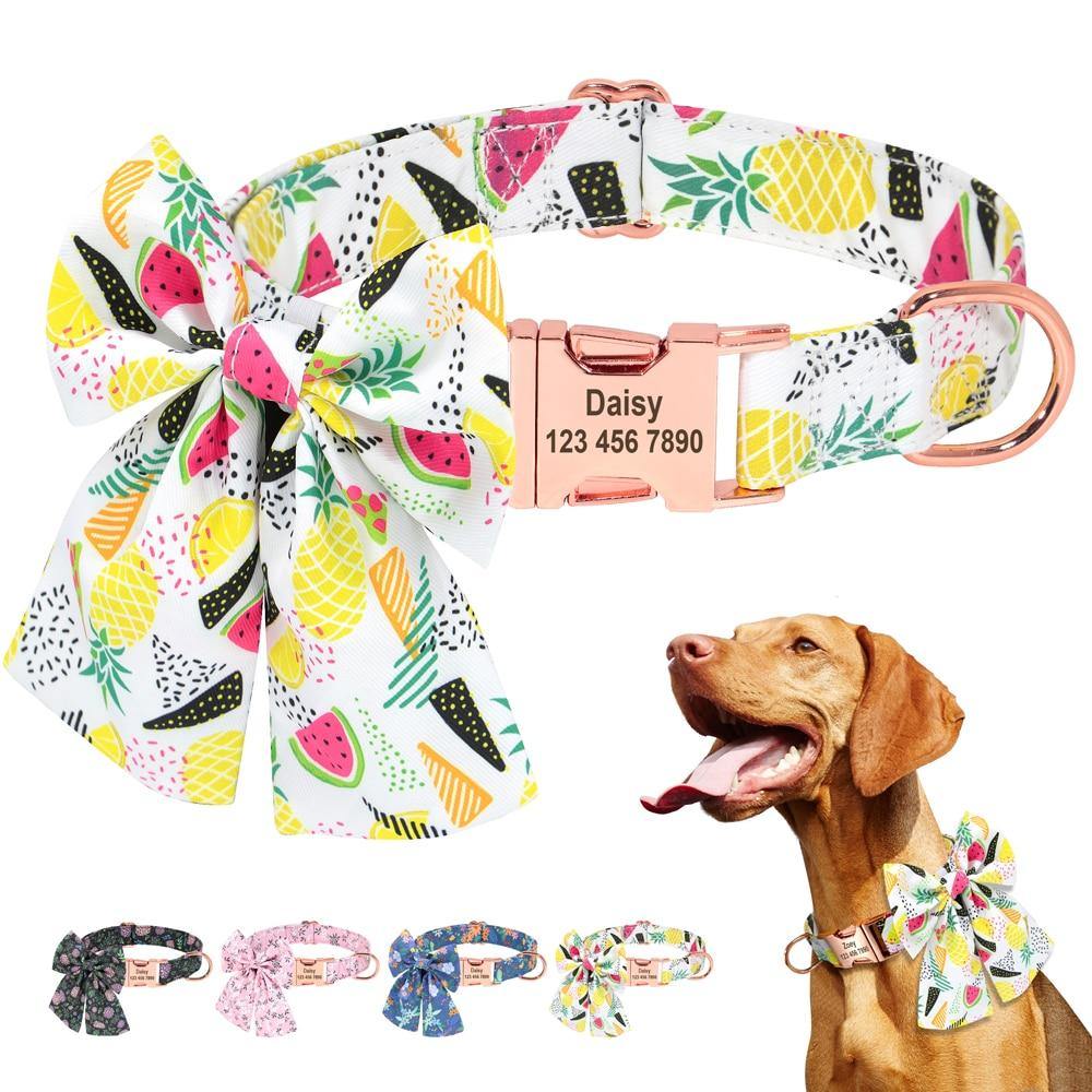 Personalized FruityBow Collar - Lovepawz