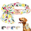 Personalized FruityBow Collar - Lovepawz