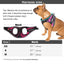 Premium Reflective Tramper Harness - Lovepawz