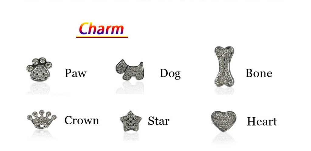 Blingaling Personalized Collar - Lovepawz