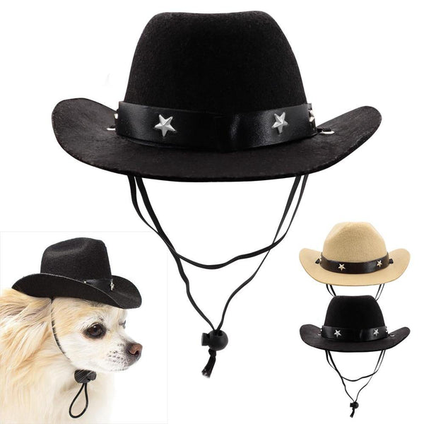 Cute Cowboy Hat (Cats & Dogs) – Openly Gay Animals