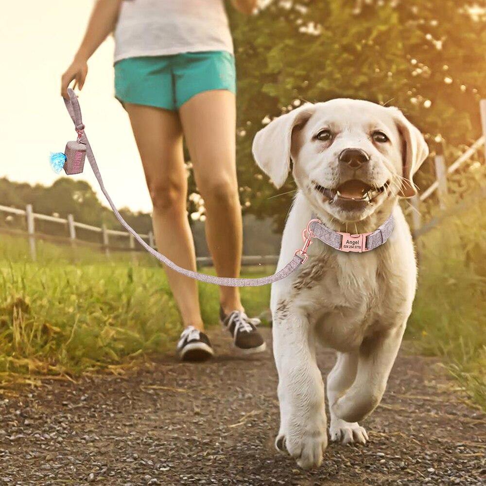 Personalized Dog Garbage Bag and Leash Set - Lovepawz