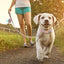 Personalized Dog Garbage Bag and Leash Set - Lovepawz