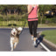 Adjustable Hands Free Leash - Lovepawz