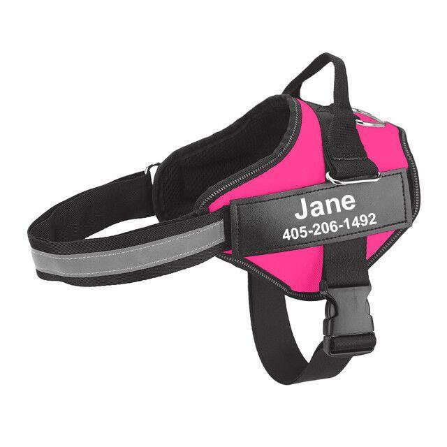 Strap'n'walk Custom Dog Harness - Lovepawz