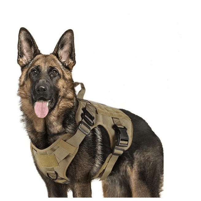AntiPullsta-Tug Free Dog Harness - Lovepawz
