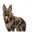 AntiPullsta-Tug Free Dog Harness - Lovepawz