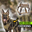AntiPullsta-Tug Free Dog Harness - Lovepawz