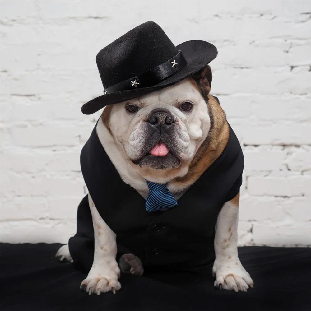Cowboy Star Hat - Lovepawz