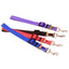 Harness Seatbelt Leash - Lovepawz