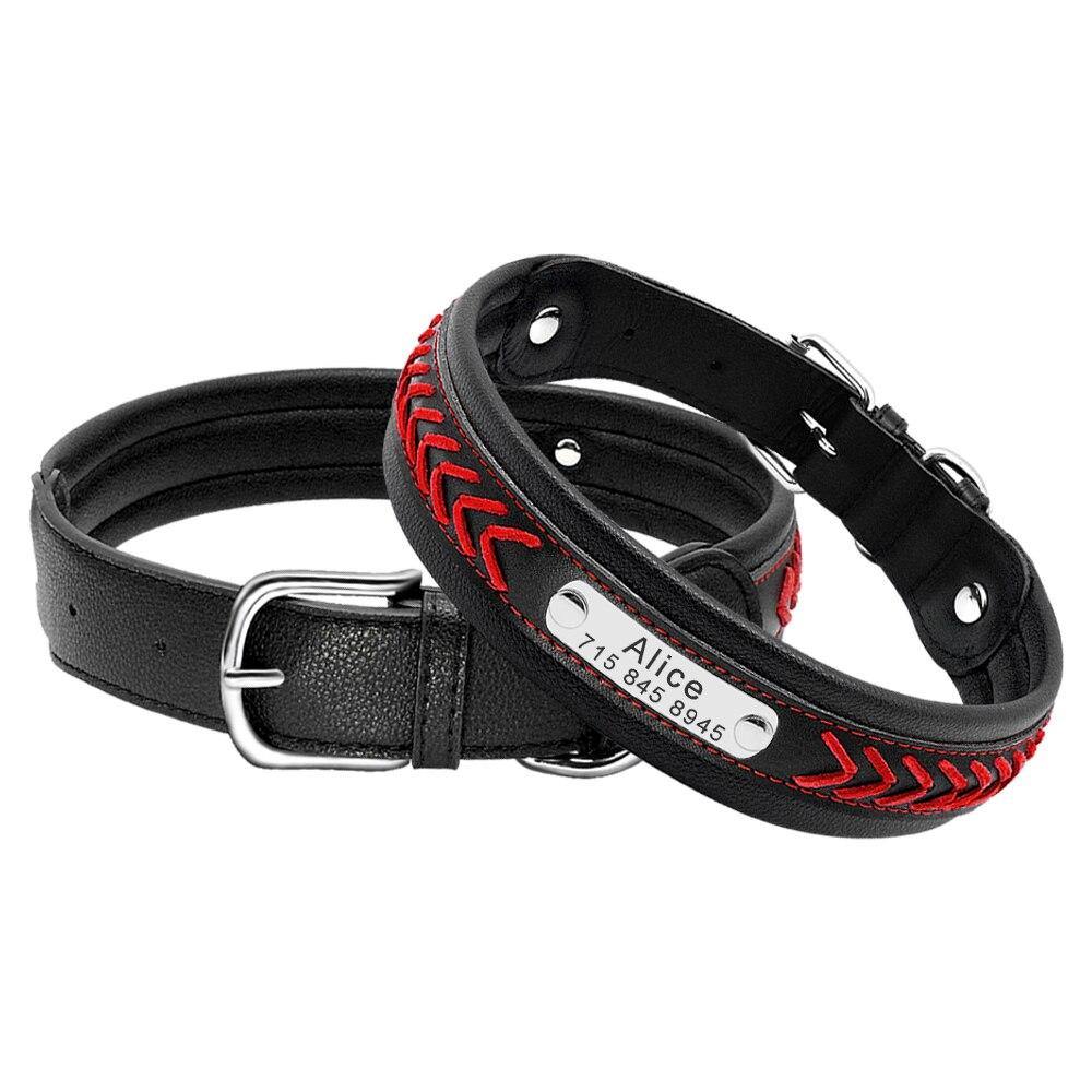 Bold Collar - Lovepawz