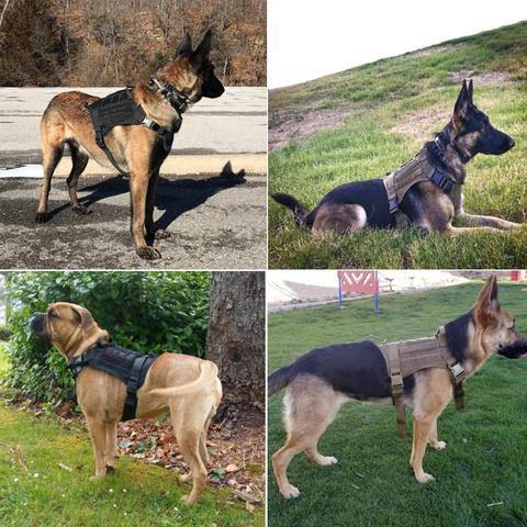 AntiPullsta-Tug Free Dog Harness - Lovepawz