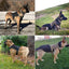 AntiPullsta-Tug Free Dog Harness - Lovepawz