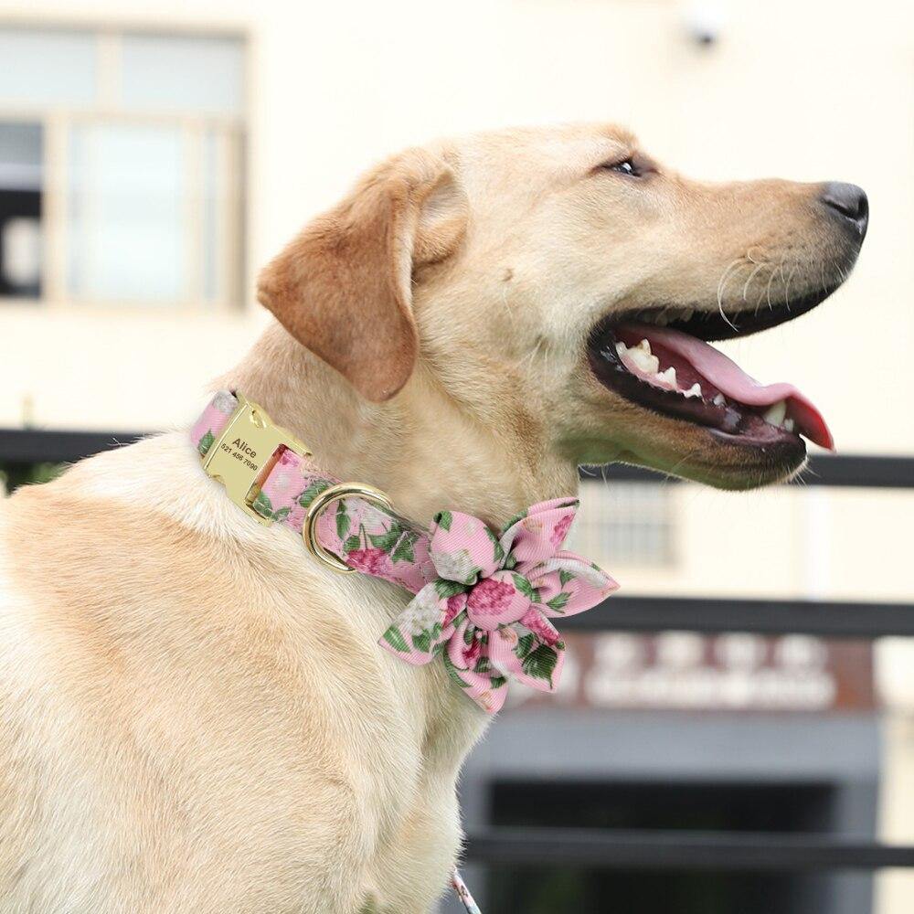 Custom Collar With Bow - Lovepawz