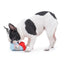 Ice Cream Toy Dog Plush Set - Lovepawz