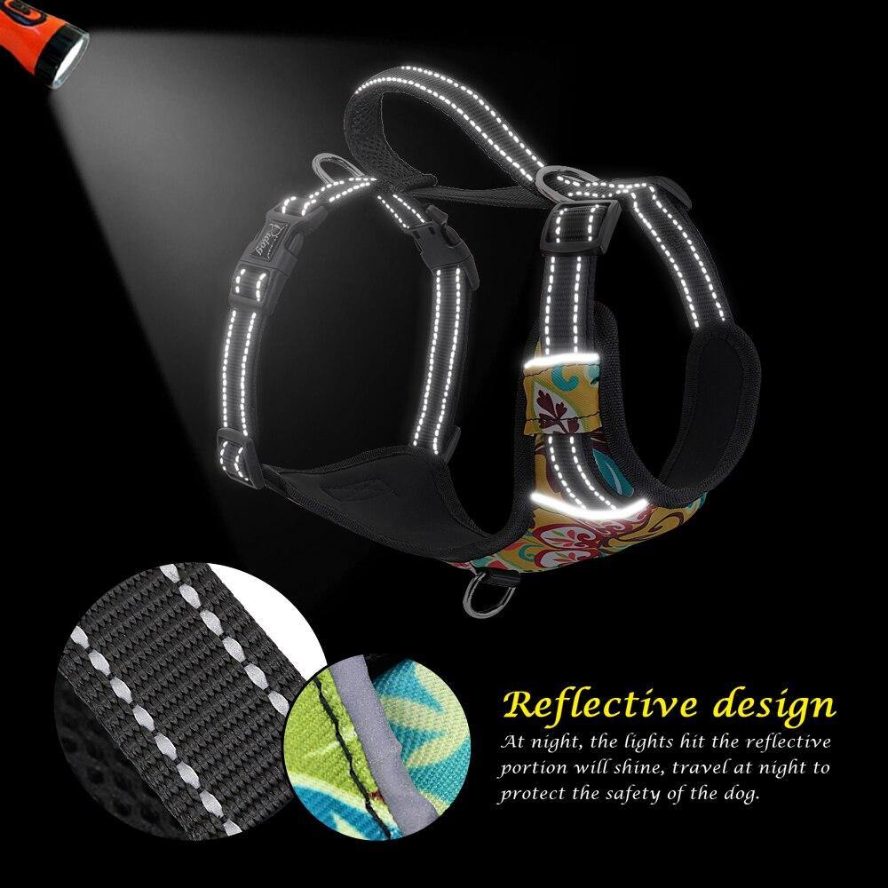 Nylon Quick Control Harness - Lovepawz