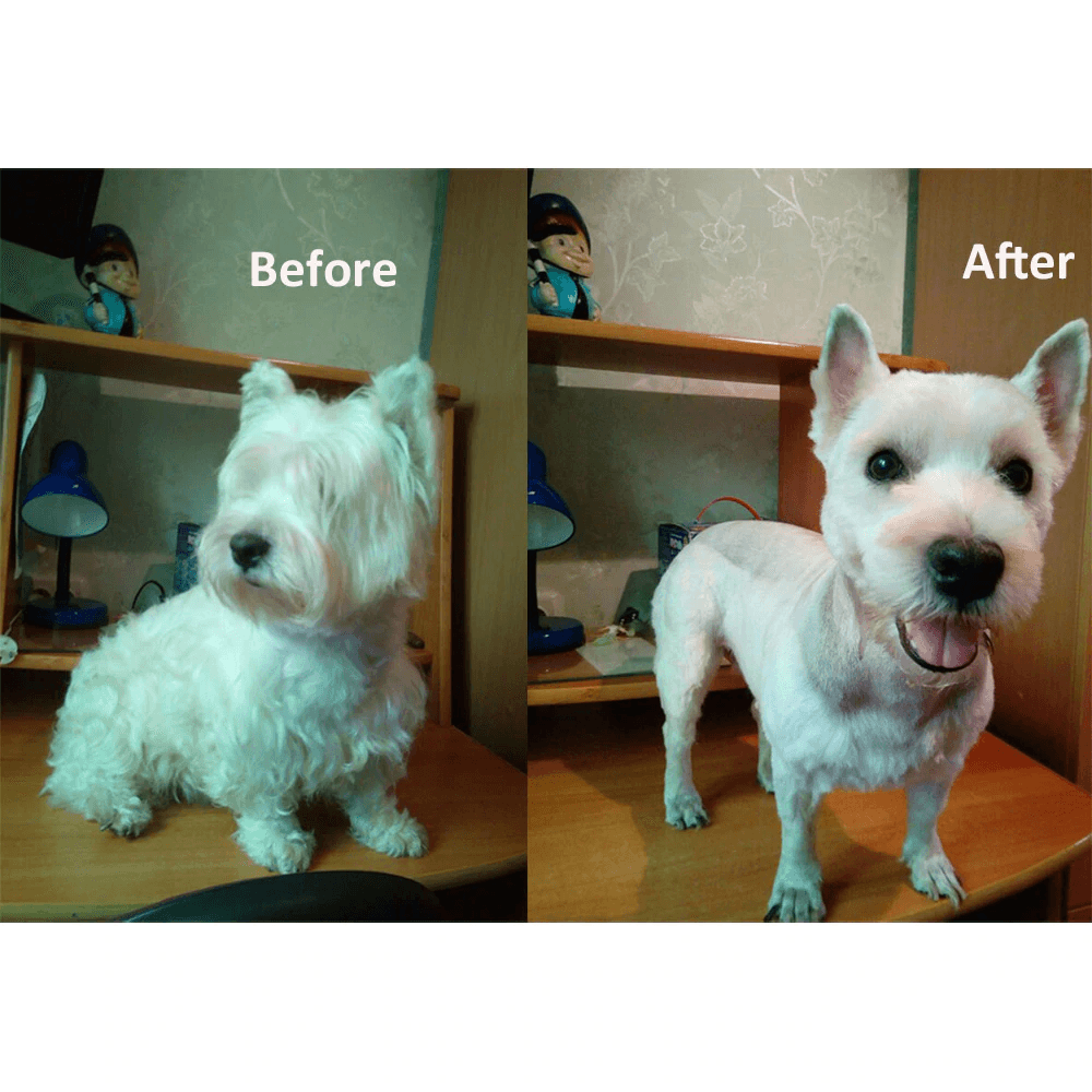Furry Clipper Trimmer - Lovepawz