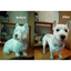 Furry Clipper Trimmer - Lovepawz
