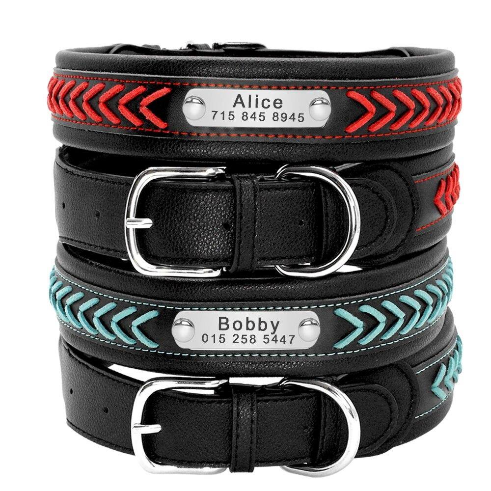 Bold Collar - Lovepawz