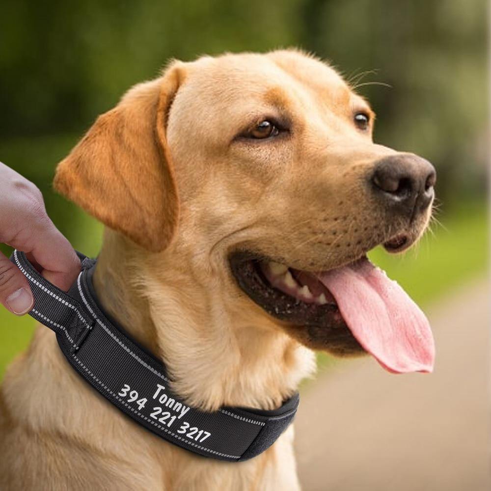 Custom Military Tactical Dog Collar - Lovepawz