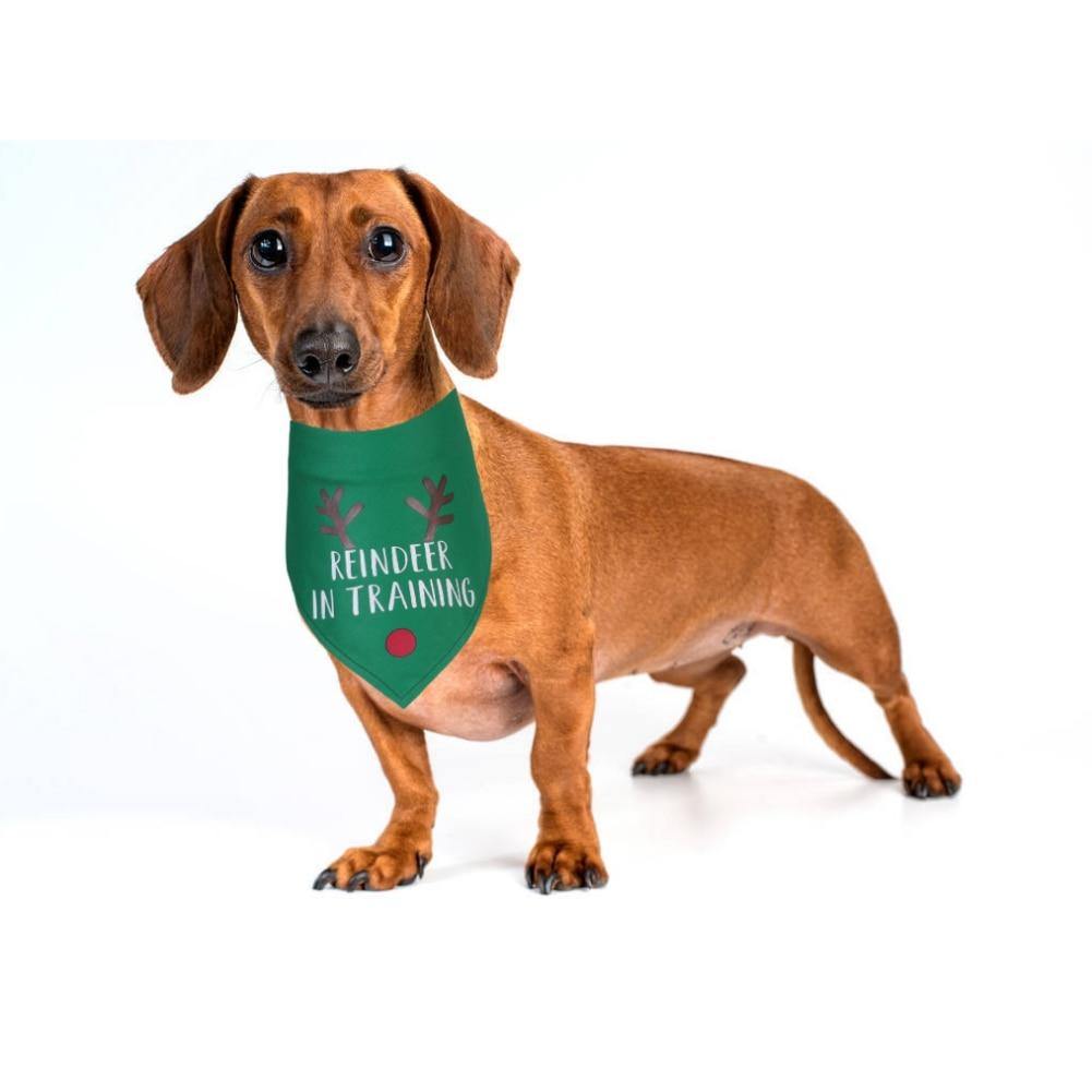 Christmas Themed Dog Bandanas Accessories - Lovepawz