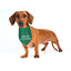 Christmas Themed Dog Bandanas Accessories - Lovepawz