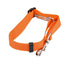 Safety Lead Seatbelt - Lovepawz
