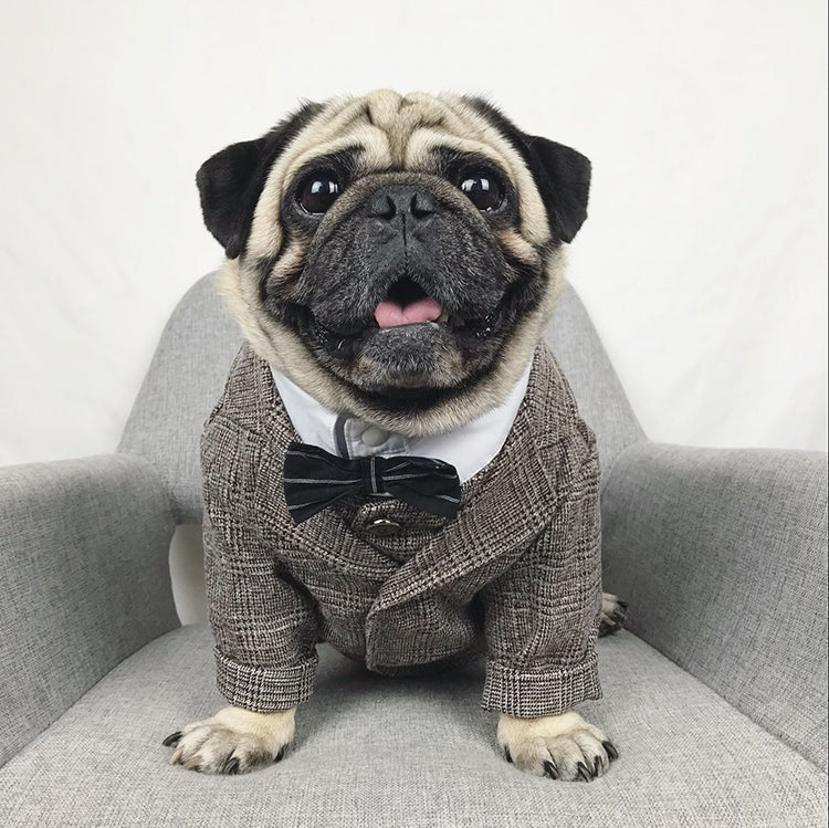 Dog Wedding Party Suit Tuxedo Coat Costume - Lovepawz
