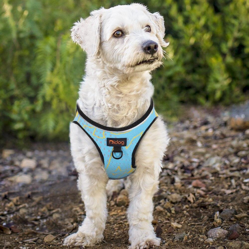 Premium Reflective Tramper Harness - Lovepawz