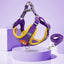 Reflective Terrier Dog Harness and Leash Set - Lovepawz