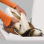 Cat Tube Mat and Bed - Lovepawz