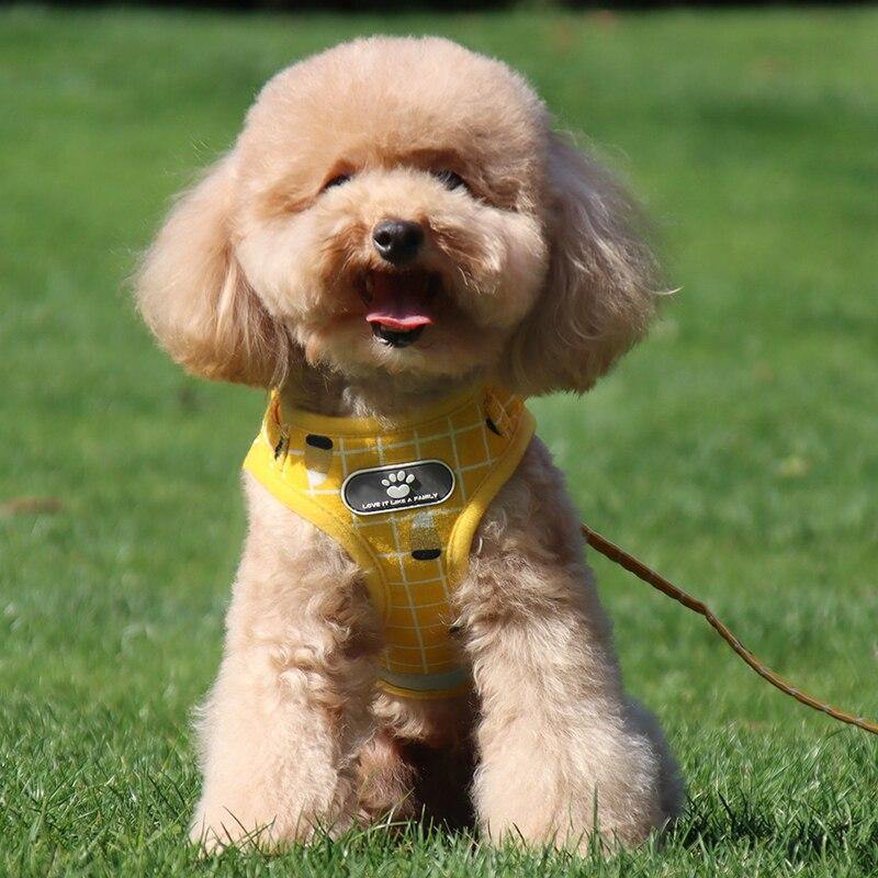 Grid Design Dog Harness and Leash Set - Lovepawz