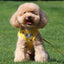 Grid Design Dog Harness and Leash Set - Lovepawz
