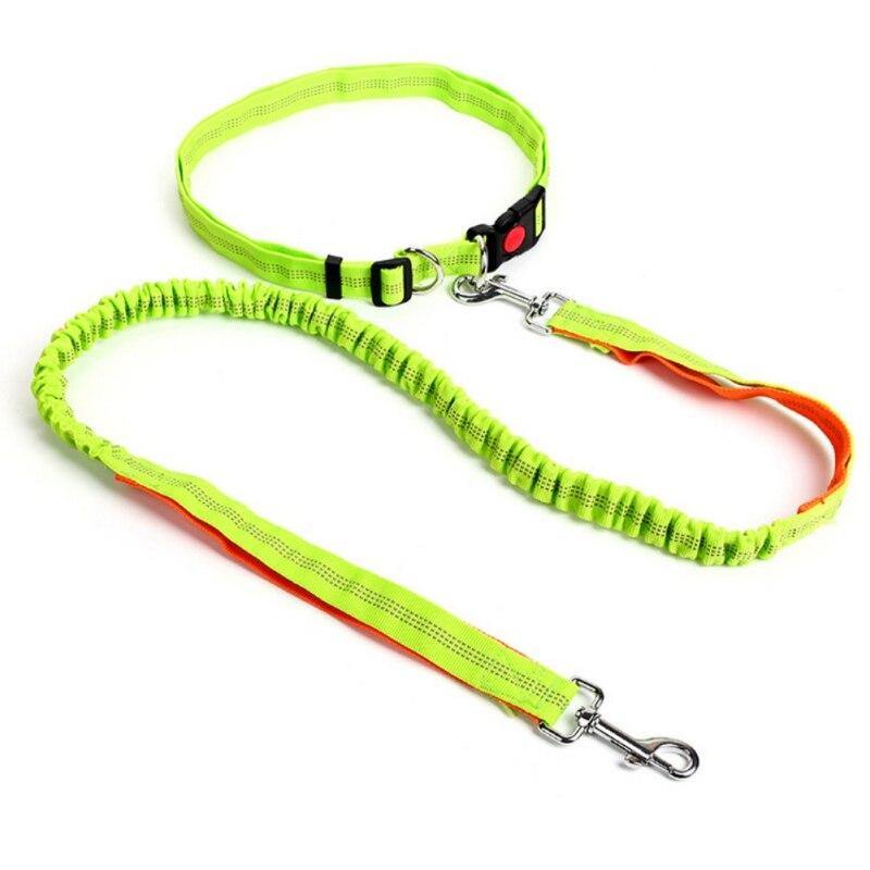 Elastic Breakaway Hand Free Waist leash - Lovepawz
