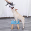 Dog Chew Shark Toy - Lovepawz