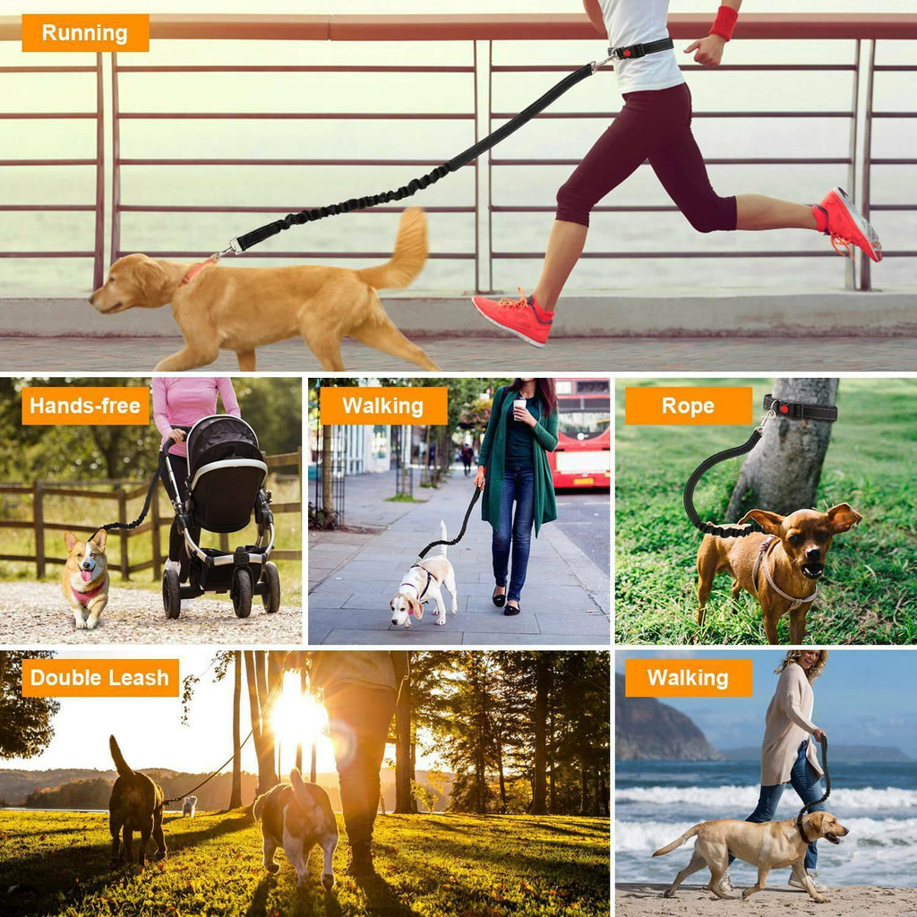 Adjustable Hands Free Leash - Lovepawz