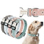 Customized Flower Collar - Lovepawz