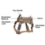 AntiPullsta-Tug Free Dog Harness - Lovepawz
