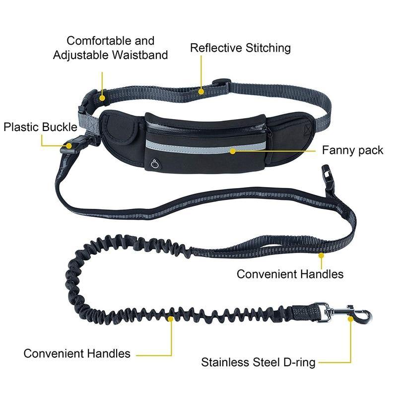 Dog Traction Waist Leash - Lovepawz