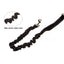 Adjustable Hands Free Leash - Lovepawz
