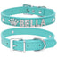 Blingaling Personalized Collar - Lovepawz
