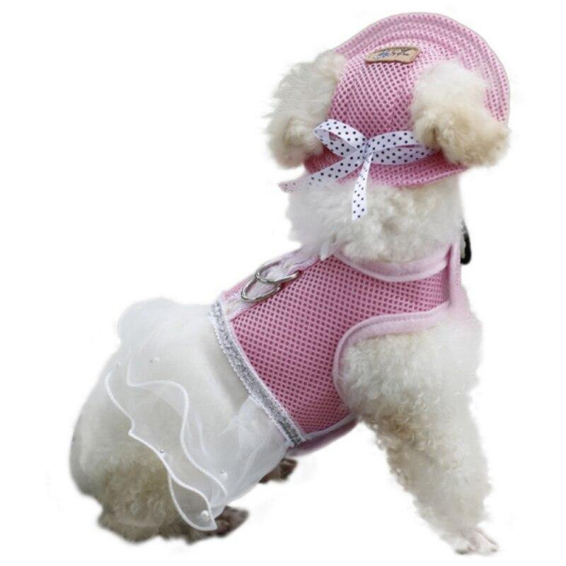 Outdoor Dog Hiking Tailup Ear Hat - Lovepawz