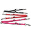 Double Nylon Running Dog Leash - Lovepawz